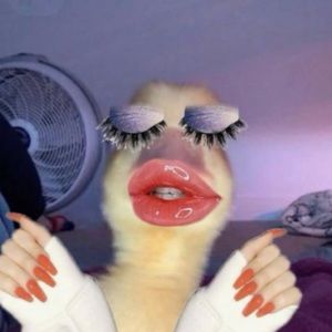 Meet your Posher, Stella